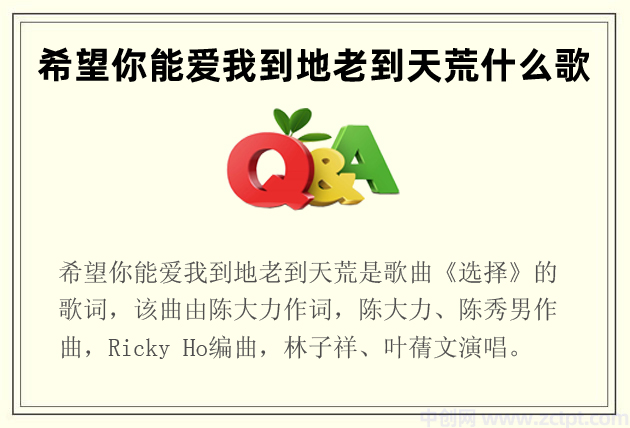 希望你能爱我到地老到天荒什么歌 歌曲选择的歌词