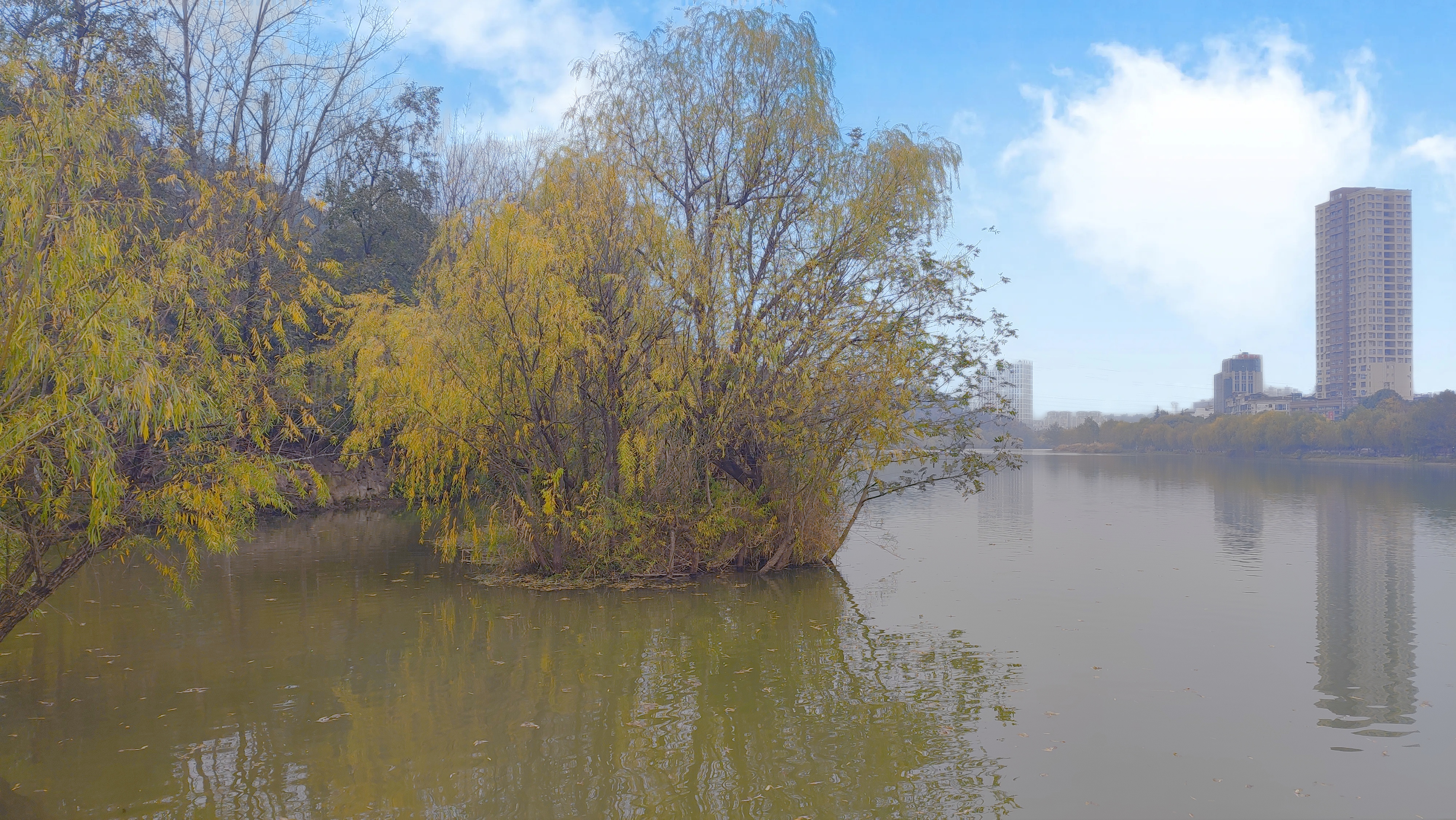 冬日暖阳下的广元南河国家湿地公园(组图)