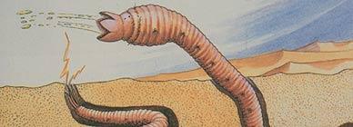 山海经:一种能含沙射影的蜮,却有人专门射其为食,原来它是蛤蟆