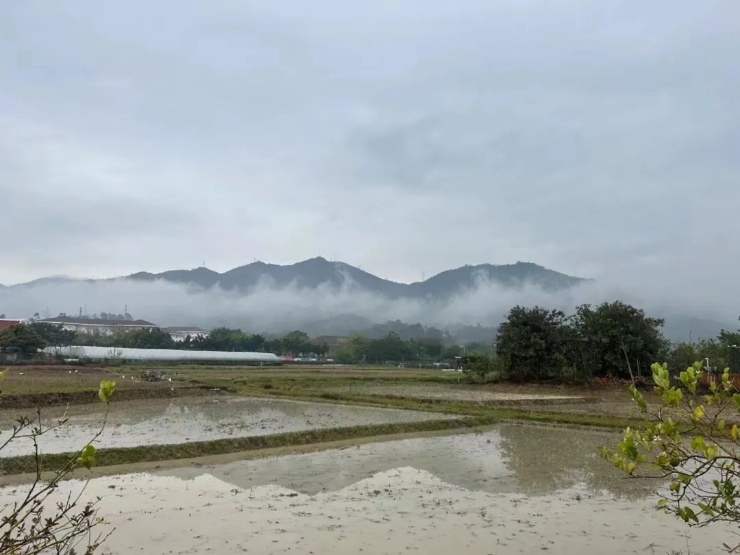 站娩阜⒒幼约涸谑卟酥种,花卉园艺方面的特长,积极