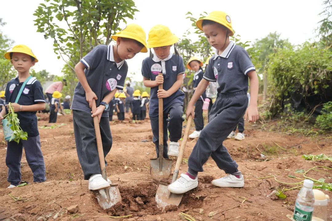 幼升小注意事项,家长快来看!
