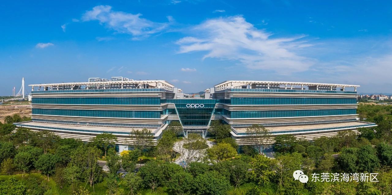 东莞两会声音|滨海湾政协委员的"金点子"聚焦新产业,新业态