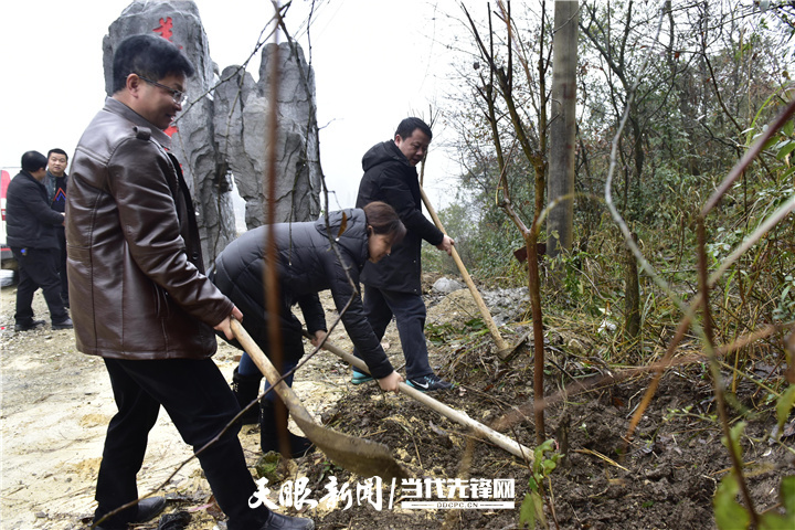 「我的脱贫故事」"懒汉"变形记丨麻江县谷硐镇干塘村村民曹后先