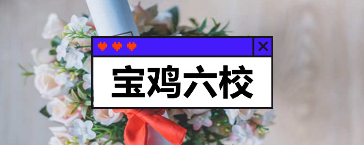 宝鸡六校有什么专业?