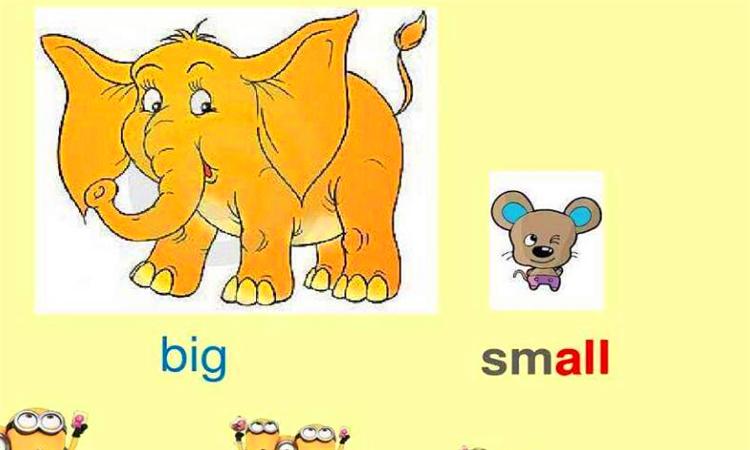 小的英语单词怎么写?