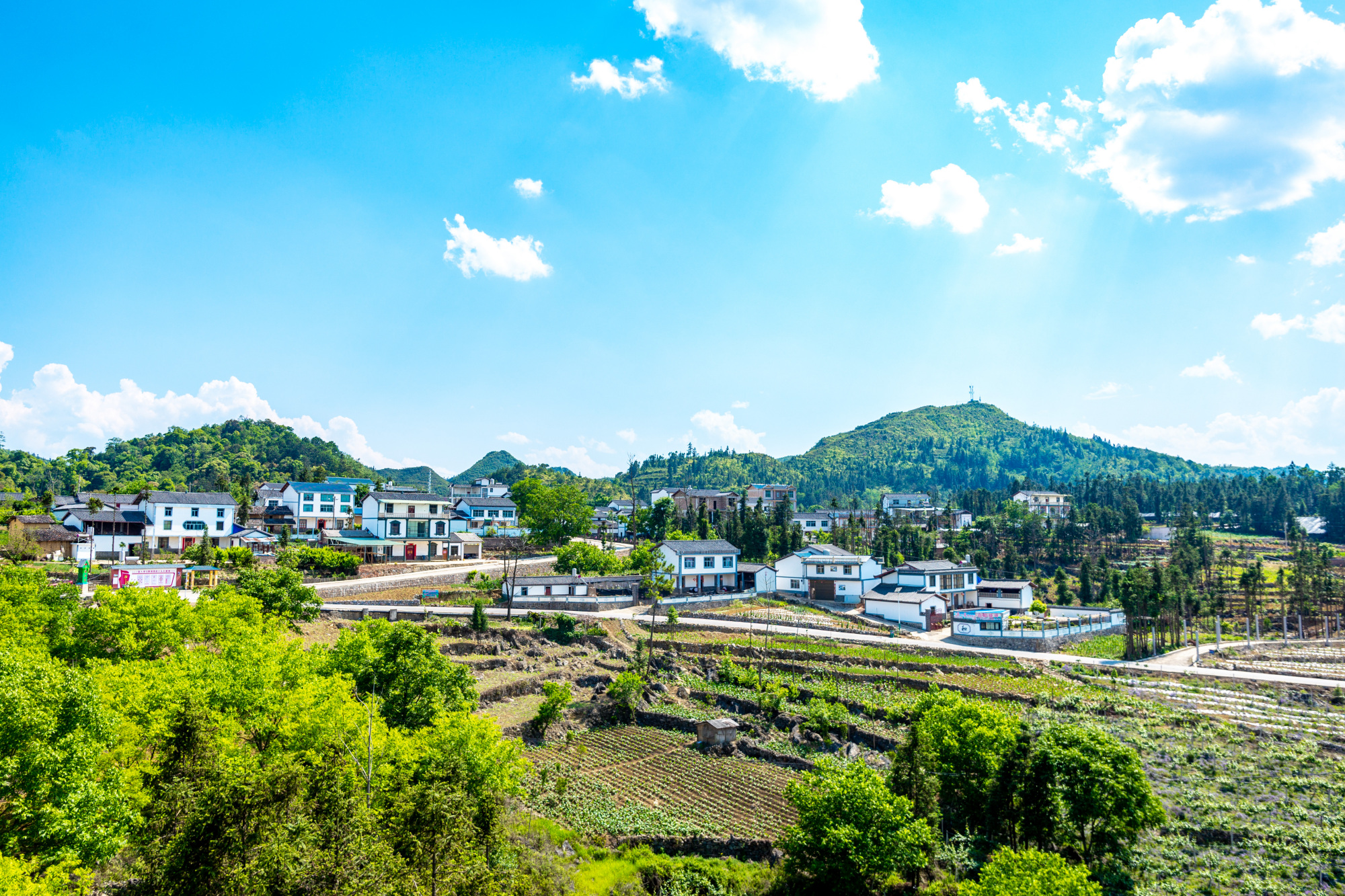 西畴三光景区:等不是办法,干才有希望