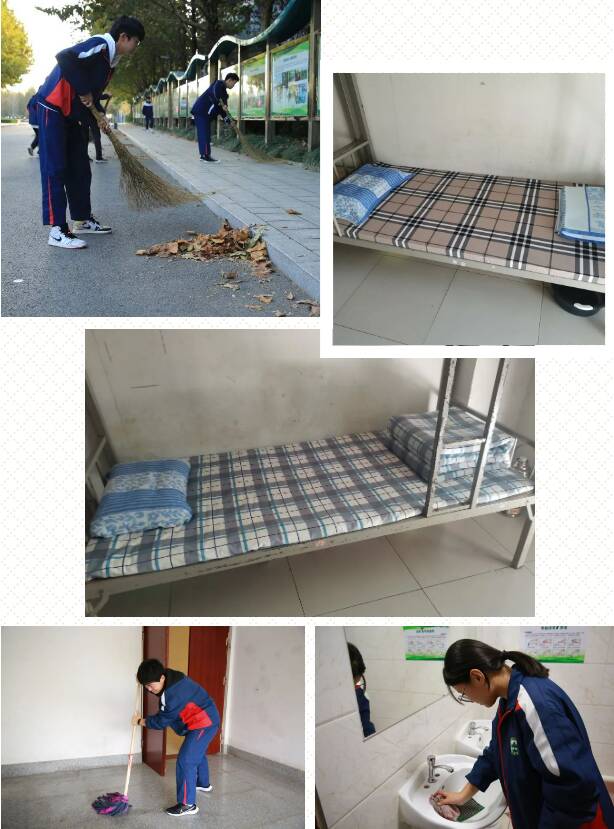 "劳"修于心,"育"践于行!潍坊实验中学以劳育心,筑梦青春