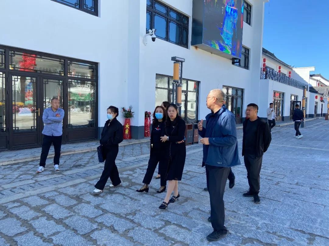 吕雪萍调研文化旅游发展工作