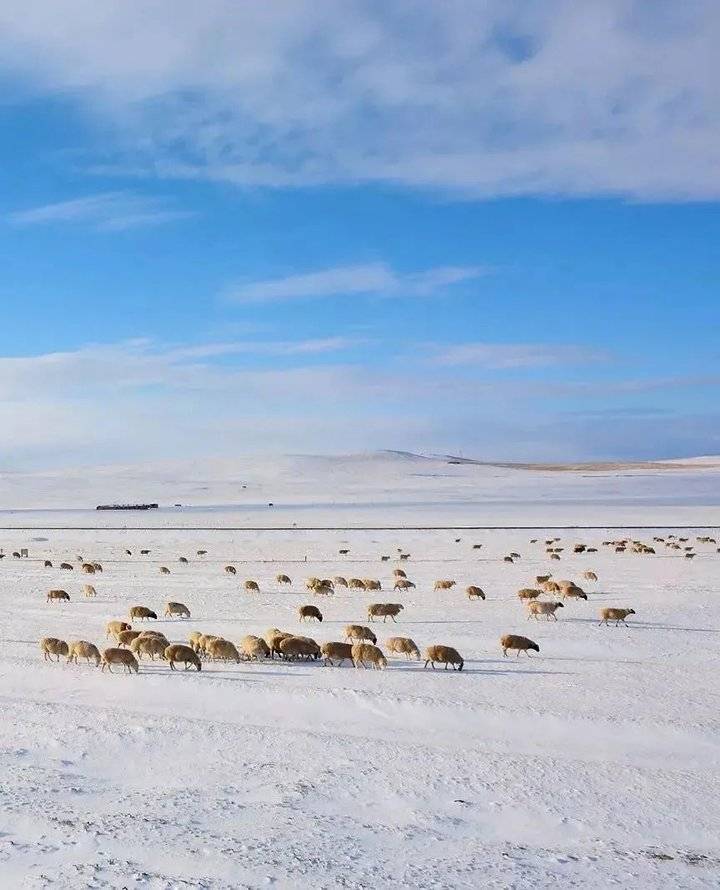 李娟夏牧场拍的图片图片