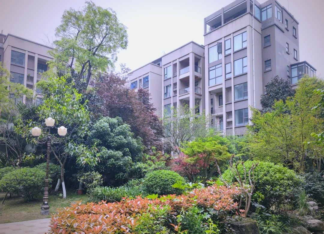 温江区新添两个园林式小区,哪个更美