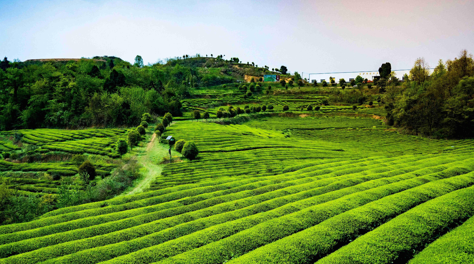 毕节市金沙县农村产业融合发展示范园成功入选第四批国家示范园创建