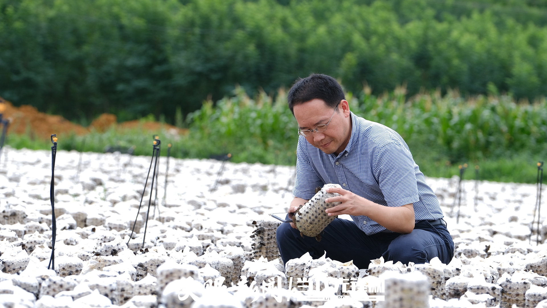 徐学锋:把技术撒在最需要的地方