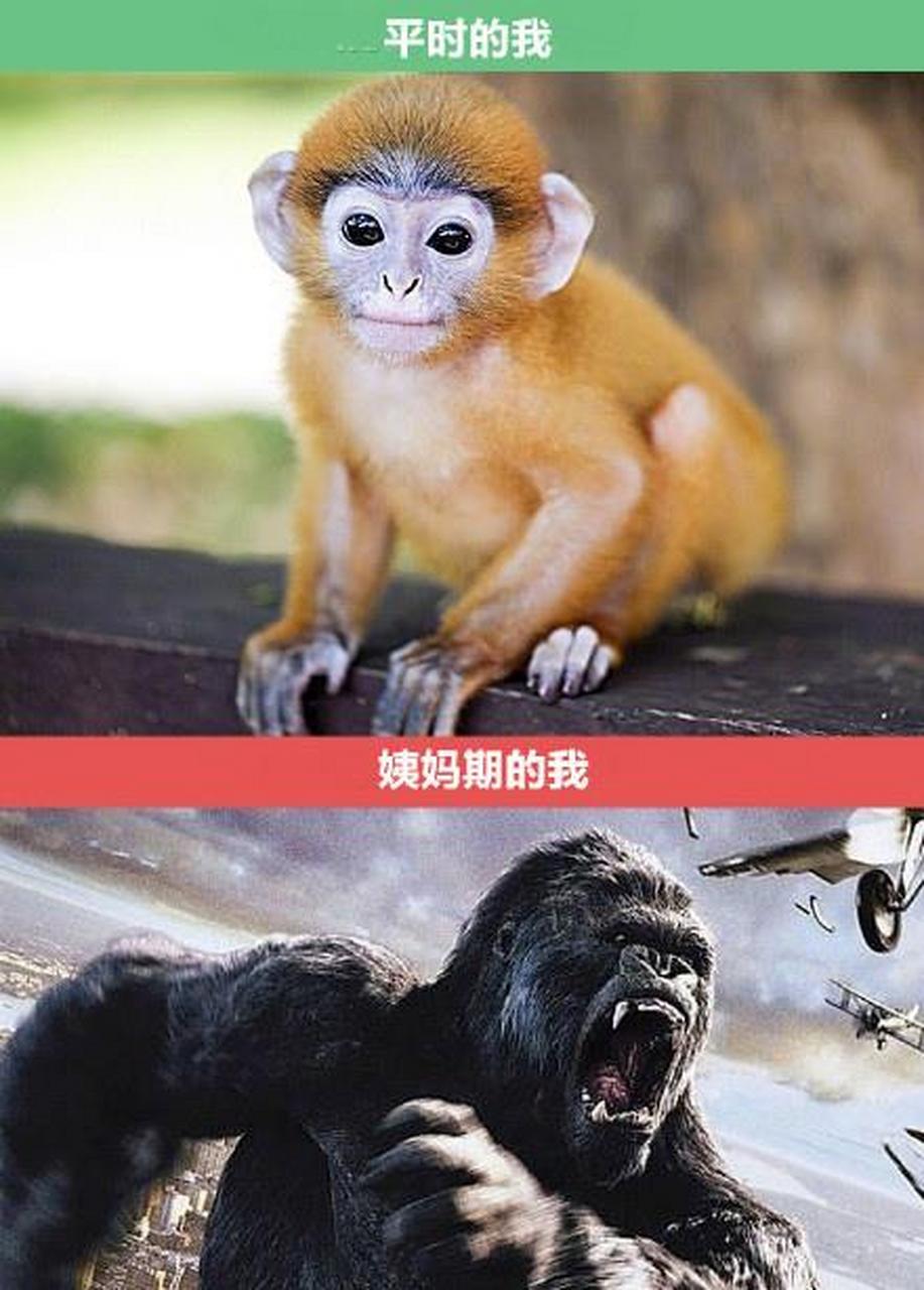 总结的一波女生都懂的经历,别说了就是我,微笑中透露mmp