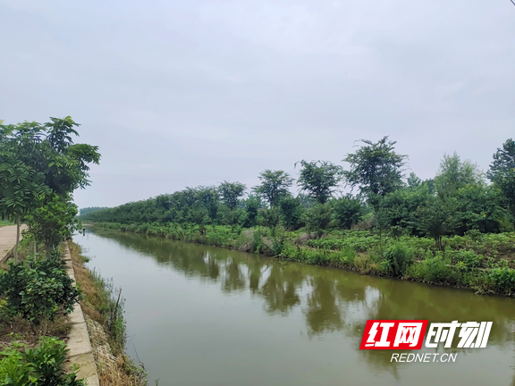 大通湖区河坝镇图片