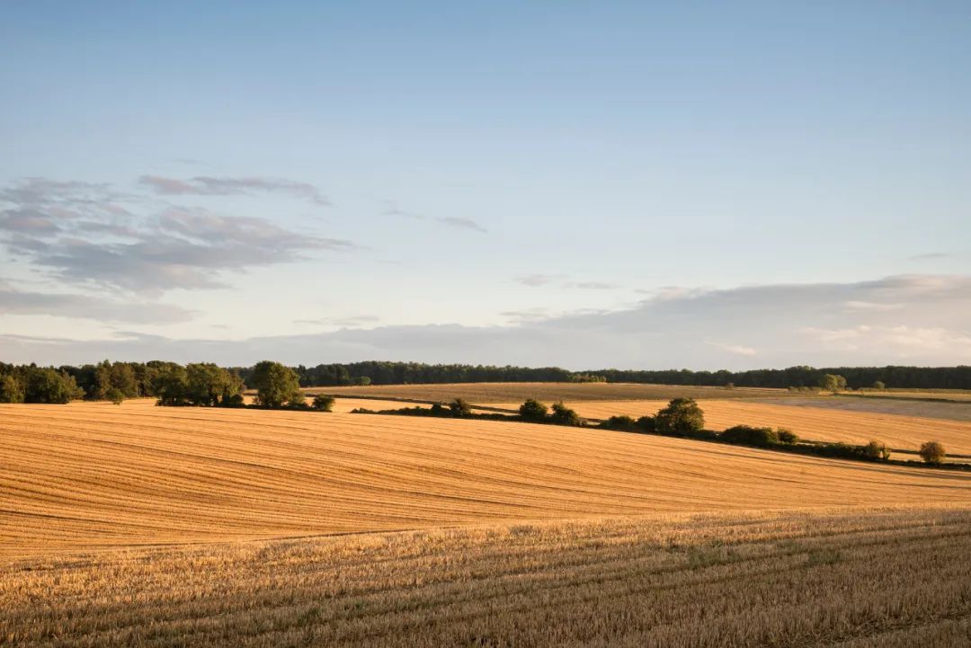 陈治胜:扛稳抓实保护耕地的责任担当