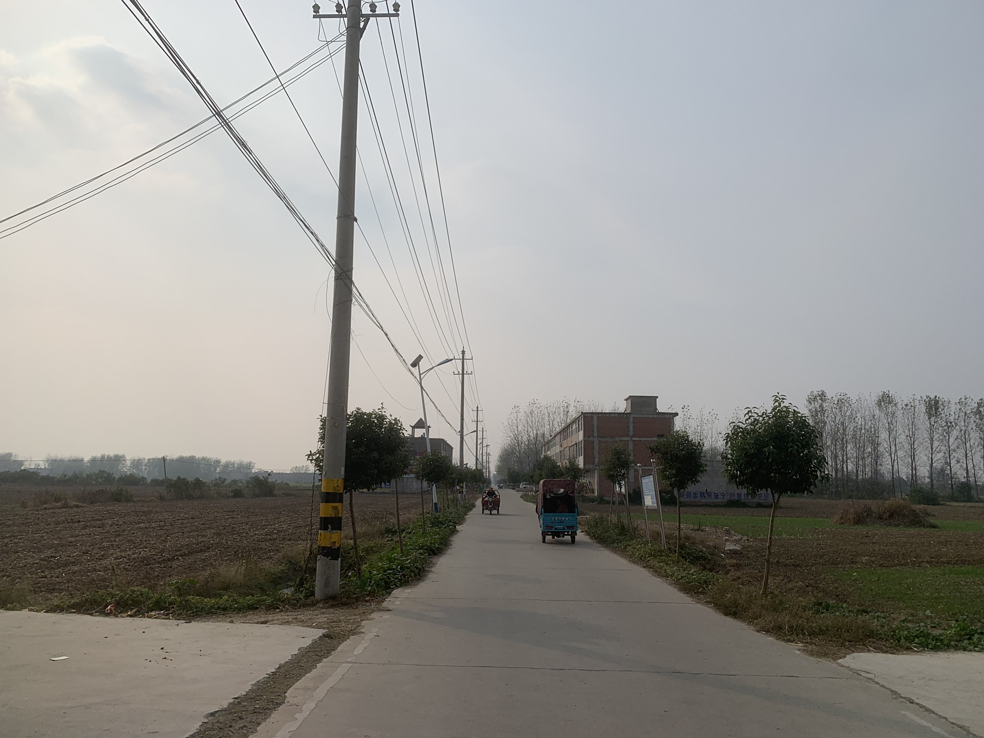 安徽省亳州市利辛县永兴镇李老家村.摄影:翟星理