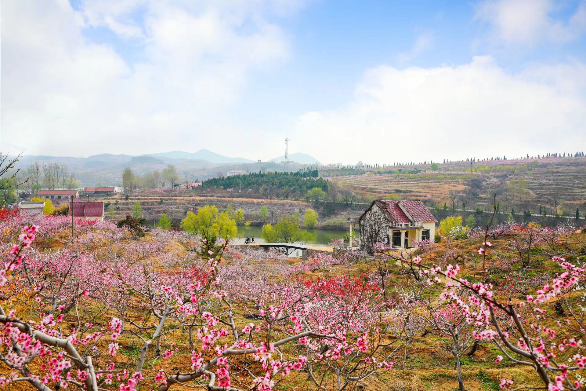 沂源县桃花岛景区图片图片