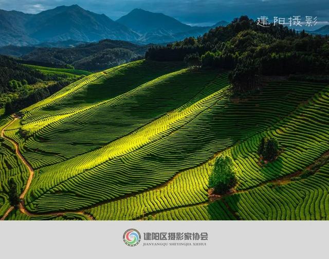 “印象小湖水仙之乡”建阳区小湖镇首届摄影大赛评选结果（一）