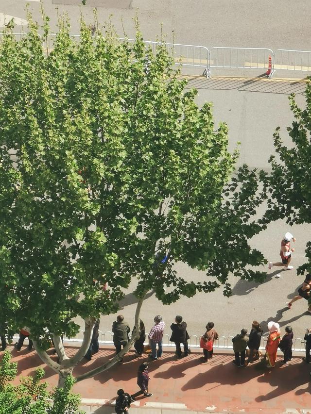 从武汉马拉松重启看雅典时代为什么飞毛腿菲迪皮茨不骑马报捷