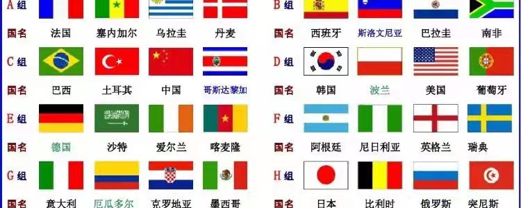 2002年国际足联世界杯分组介绍