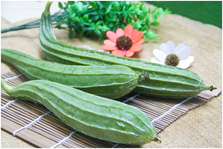 肿瘤患者可以吃丝瓜吗,丝瓜有哪些功效