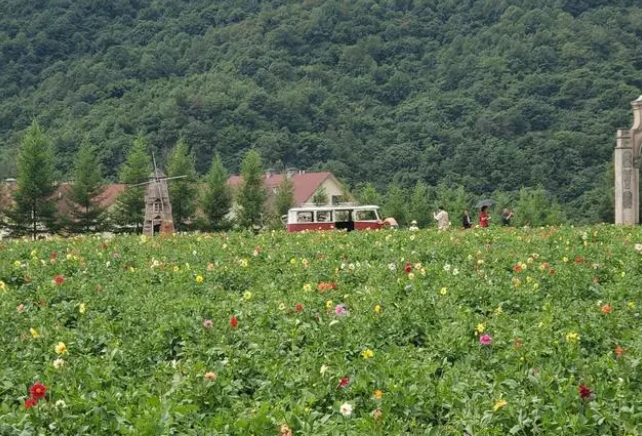 红池坝花海图片