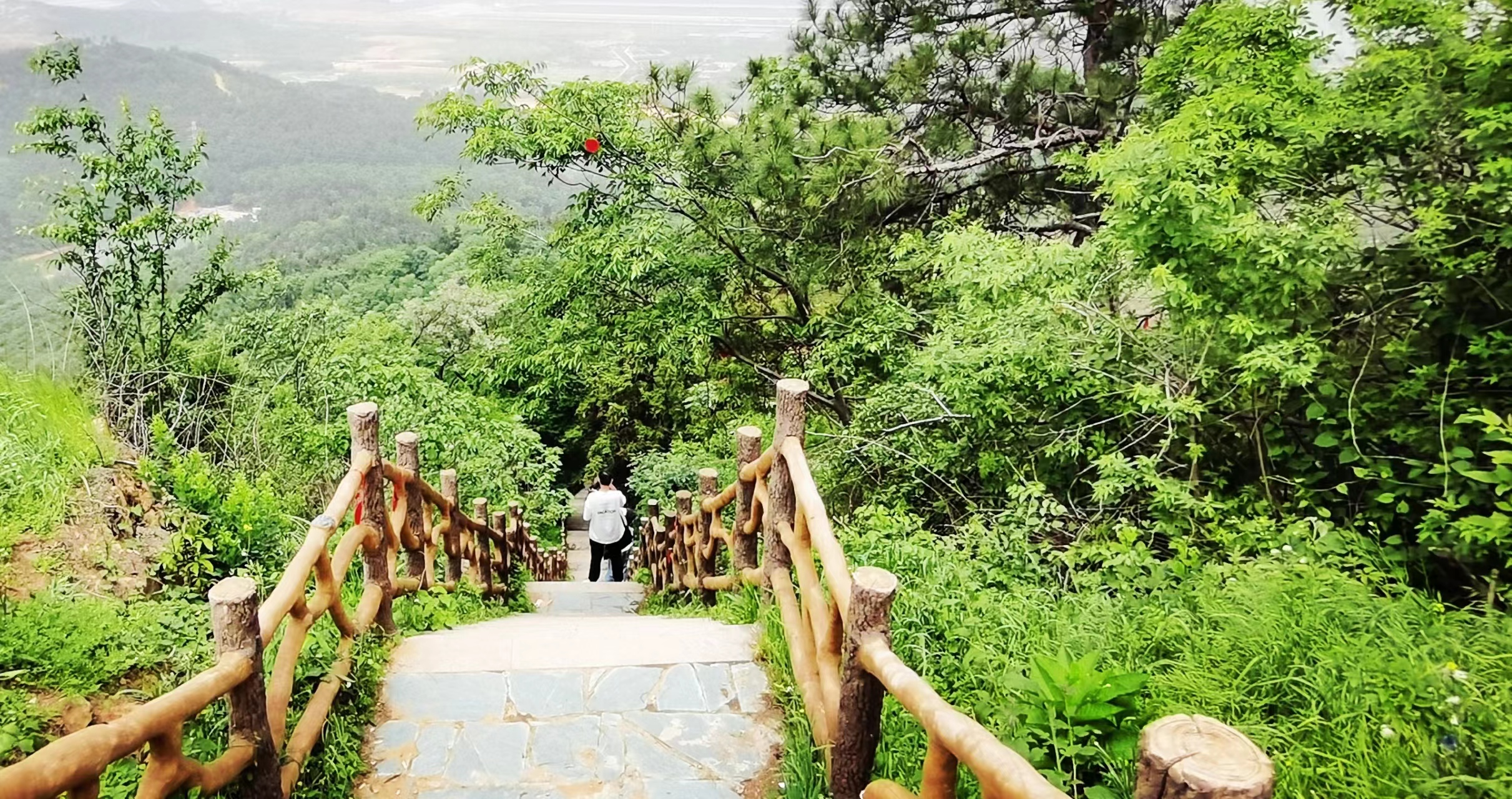 江夏爬山图片