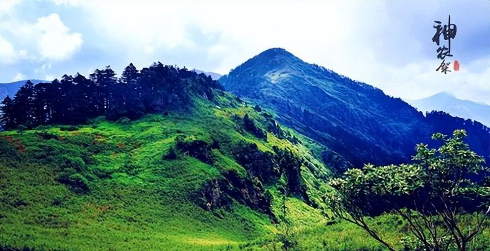 神农架林区seo优化 baijiahao.baidu.com