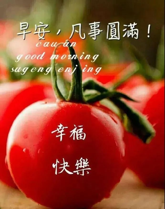 有创意喜气温馨的早安图片带字精选,暖心好看的早上好图片带祝福语