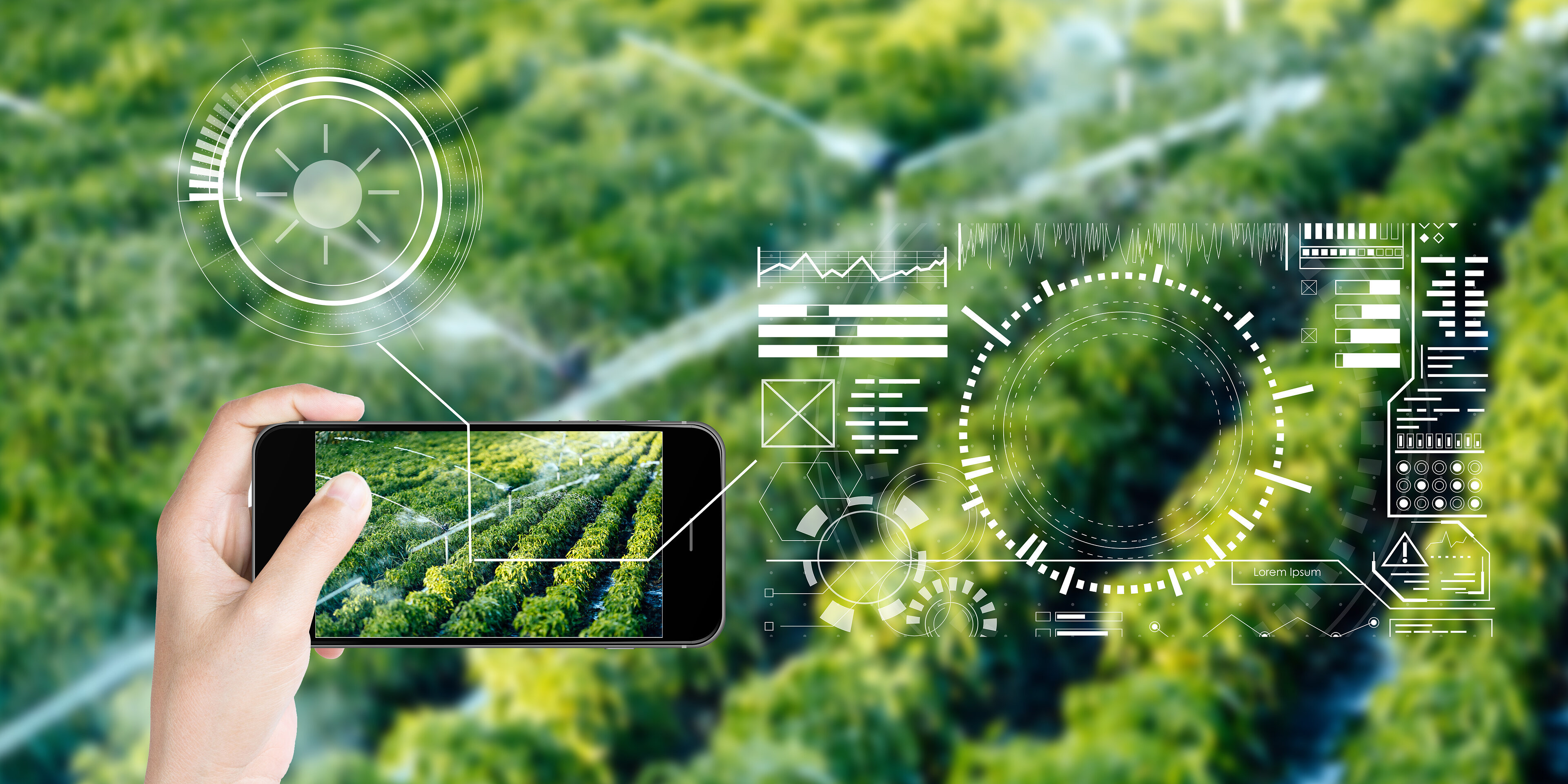 乡村振兴丨未来乡村建设重点关注哪些方面?