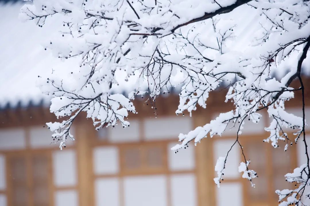 雪字壁纸图片