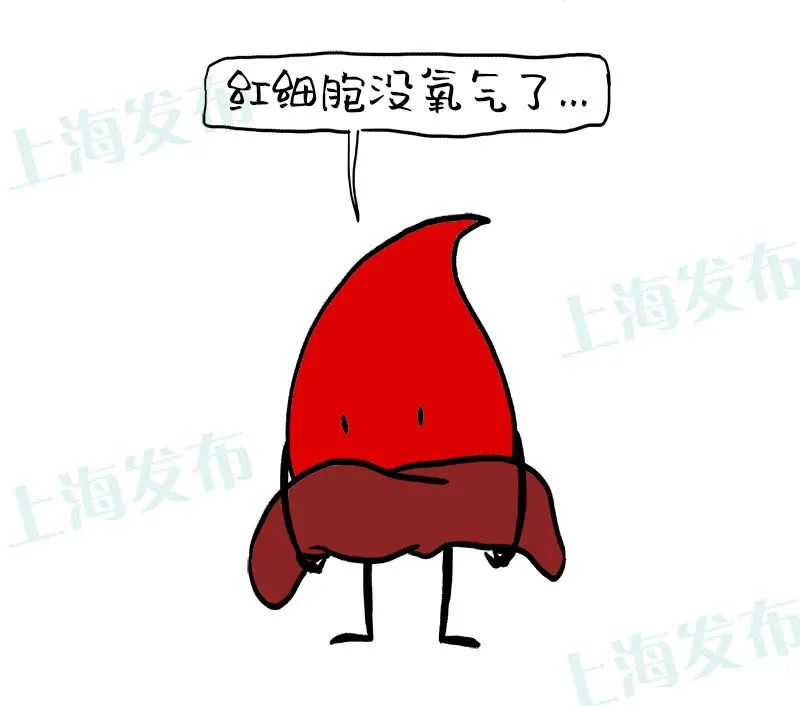「医聊」心脏不好为啥人会"肿"?血液工作路线告诉你