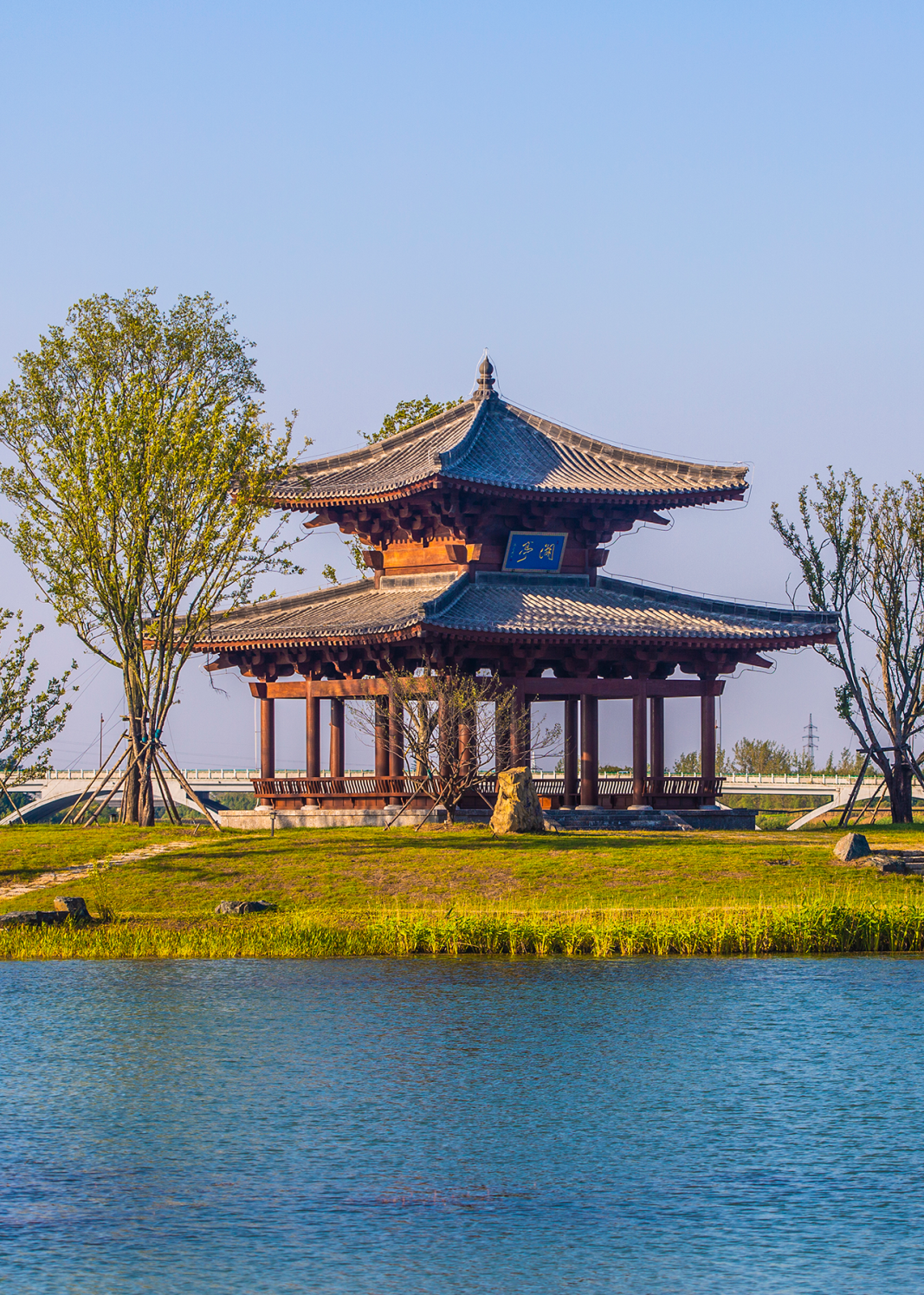 今天起,颍州西湖开放预约!免费!