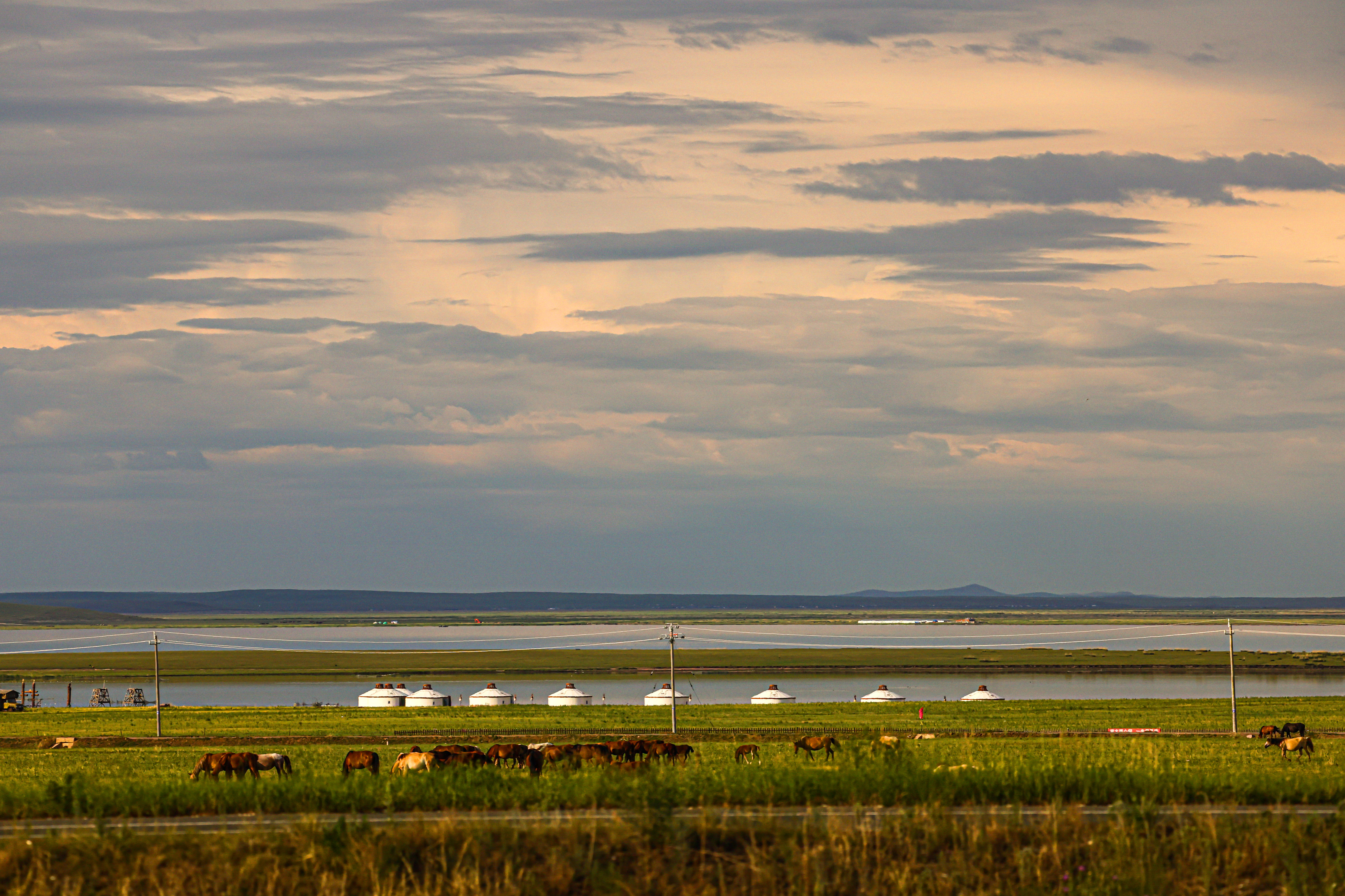 美丽中国丨呼伦贝尔大草原夏日即景