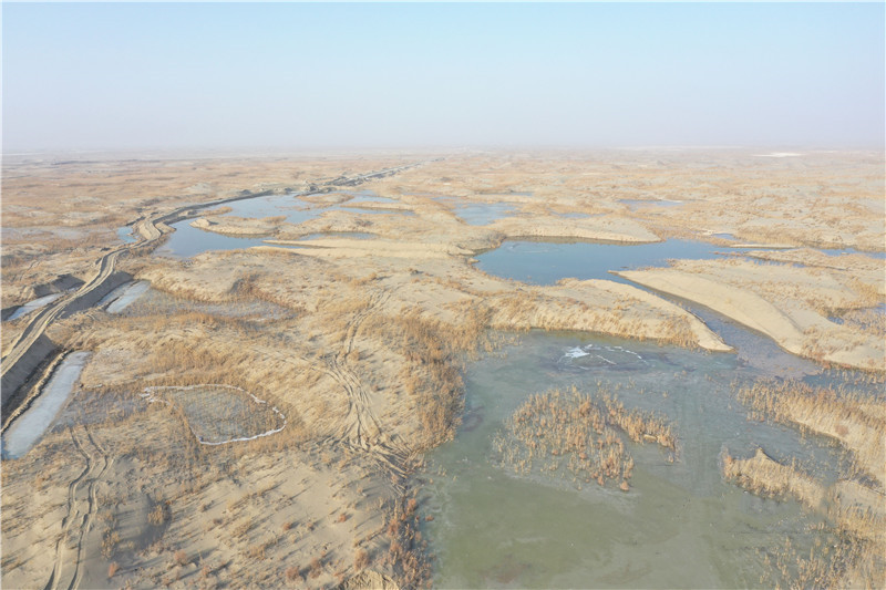 阿克苏地区启动第五个百万亩生态治理工程