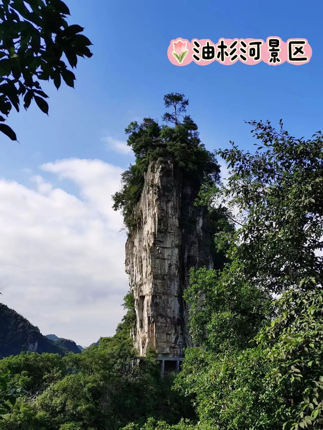 这儿有一份贵州景区大礼包待领取>多彩黔行>2024-03-080357>1080_1440