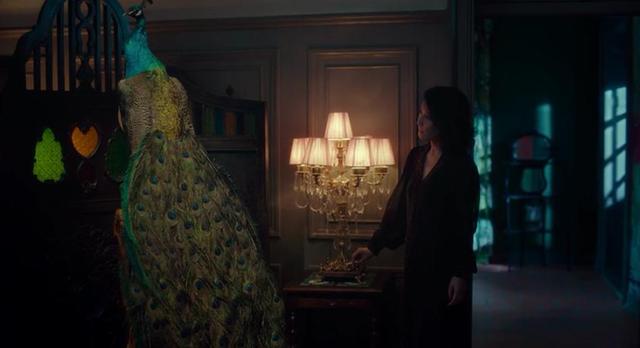 谁有"张看"的眼睛?专访王安忆:改编张爱玲,动辄得咎