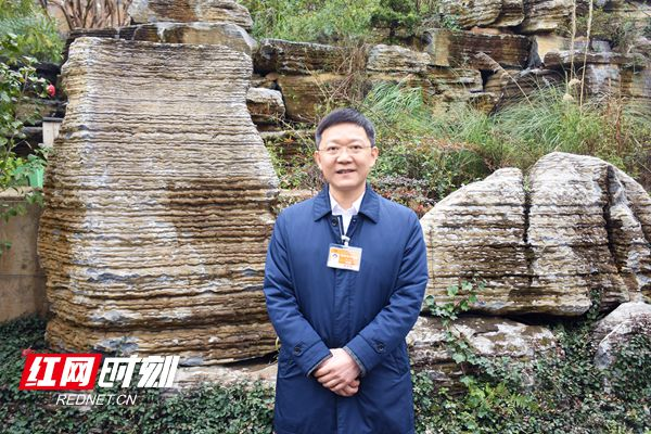 两会湘声|黎志宏:构建完整区域医疗卫生体系 稳步推进健康湖南建设