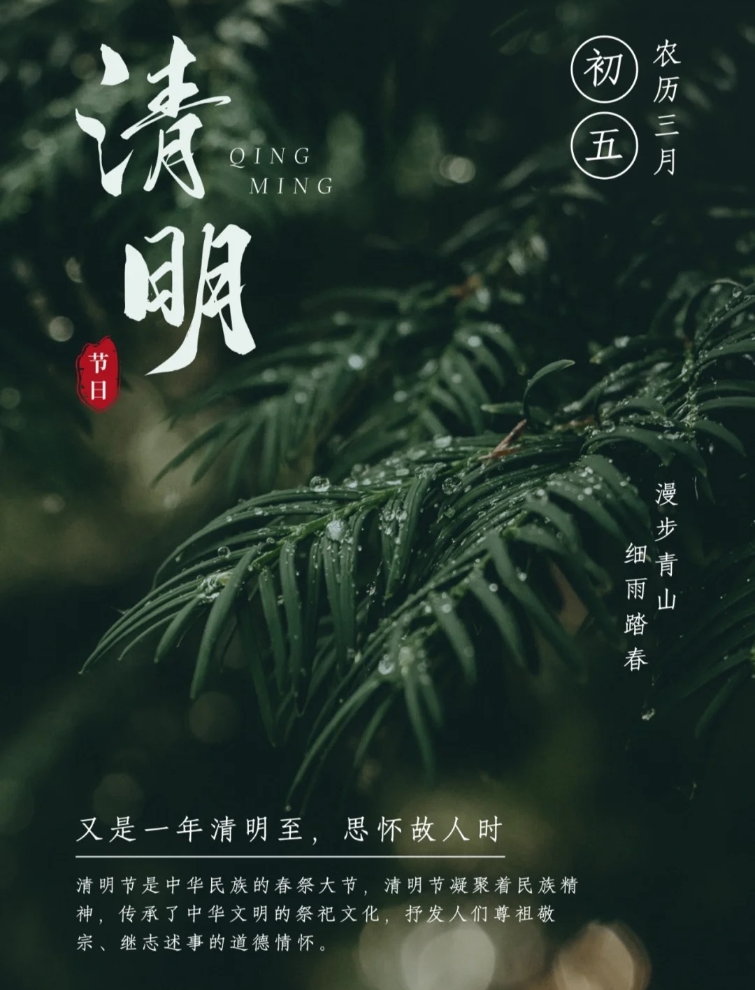 清明節 qingming festival(英文介紹)