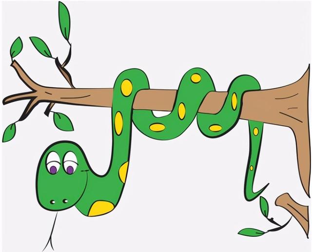深圳发现一条长达2米,50斤重的蟒蛇蜕皮,蛇蜕皮时会攻击人吗?