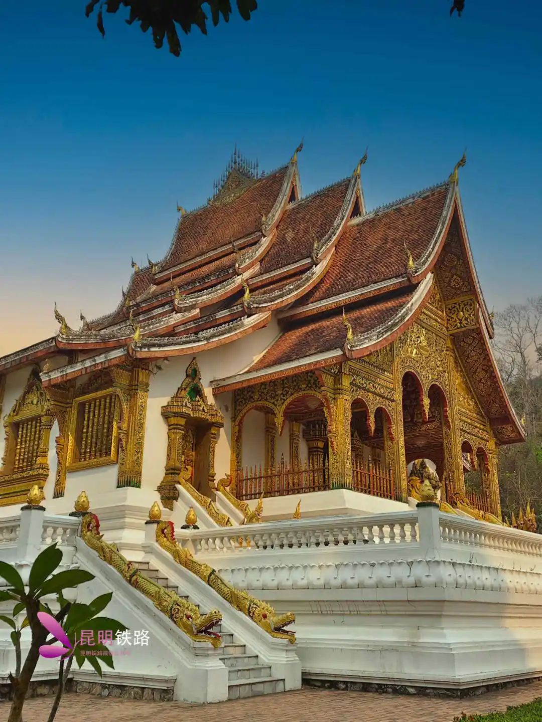 坐上动车,一路向南去老挝