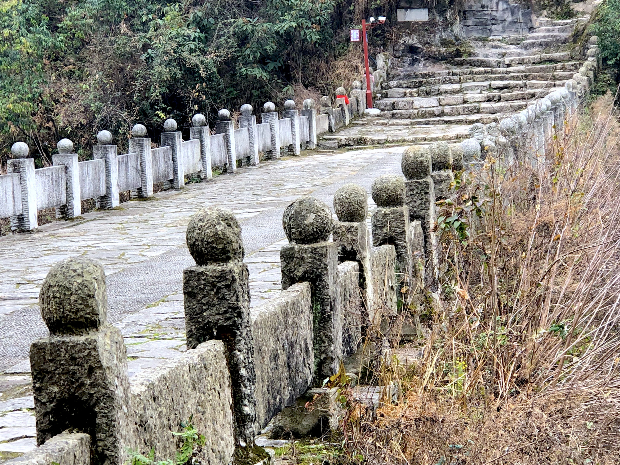 洒金谷