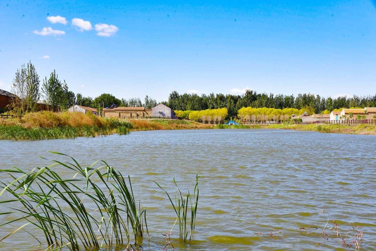 通州永乐店镇半截河村隋唐大运河故道焕发新生机