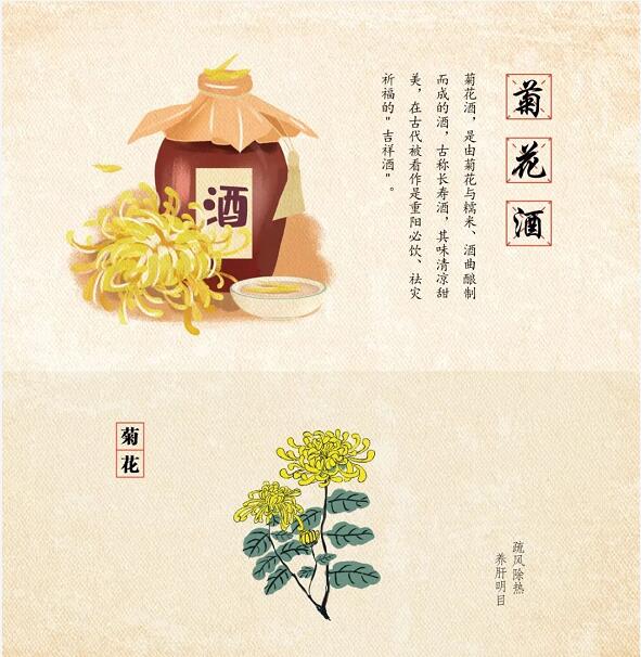 菊花酒图片大全图片