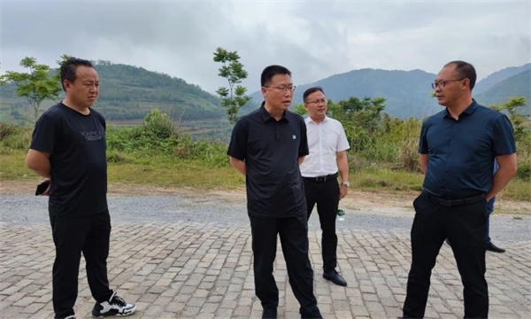 宋文辉到玉屏镇开展综合调研