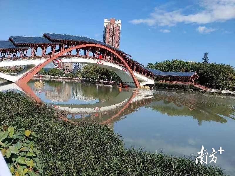 南海区水治办常务副主任张家玉:以实干书写治水新答卷|南方访谈