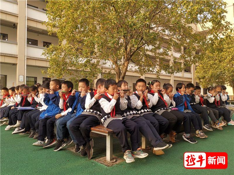 诸暨城新小学招生对象图片