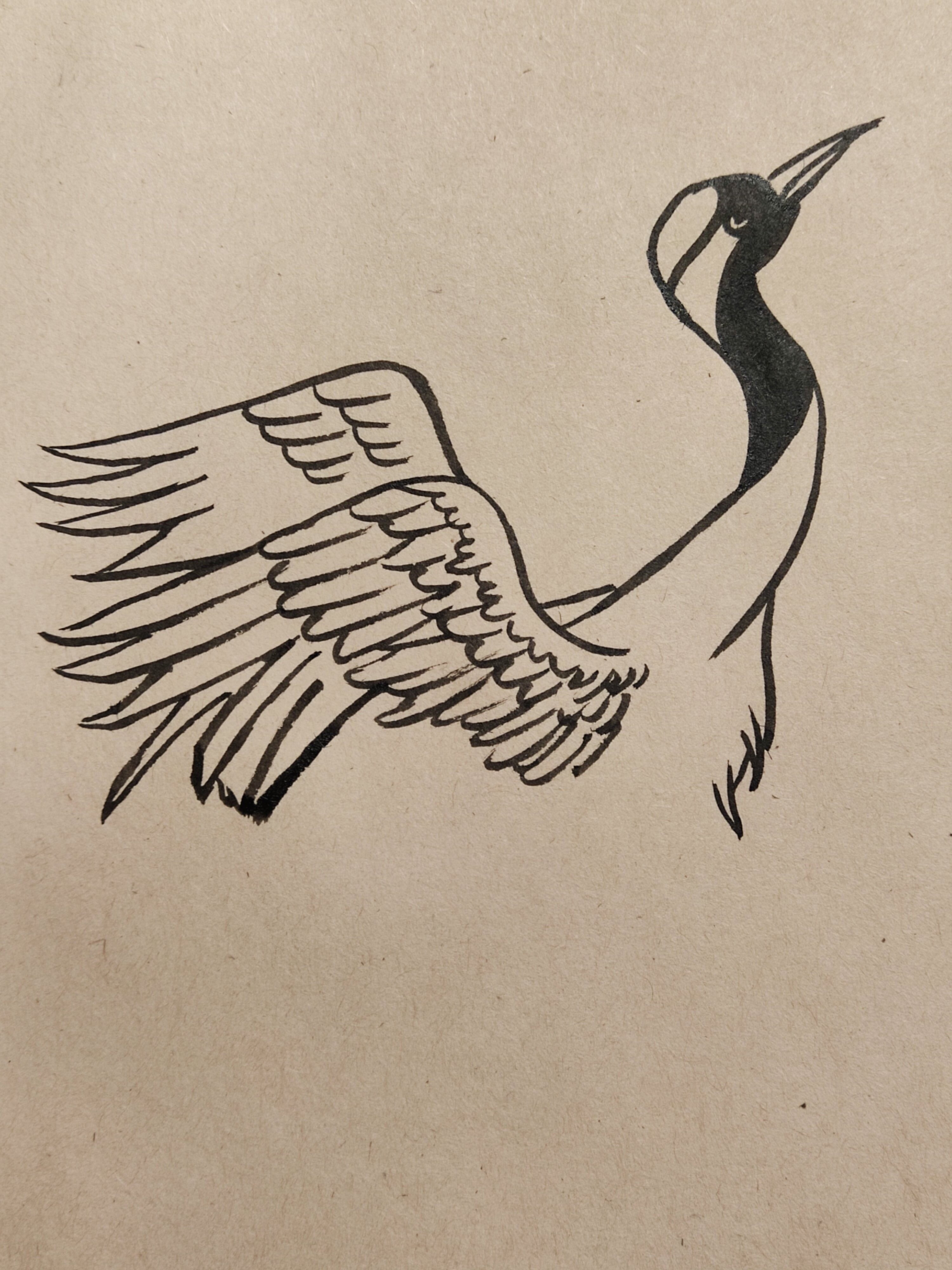 仙鹤些简单画法,步骤详细,小白轻松学会