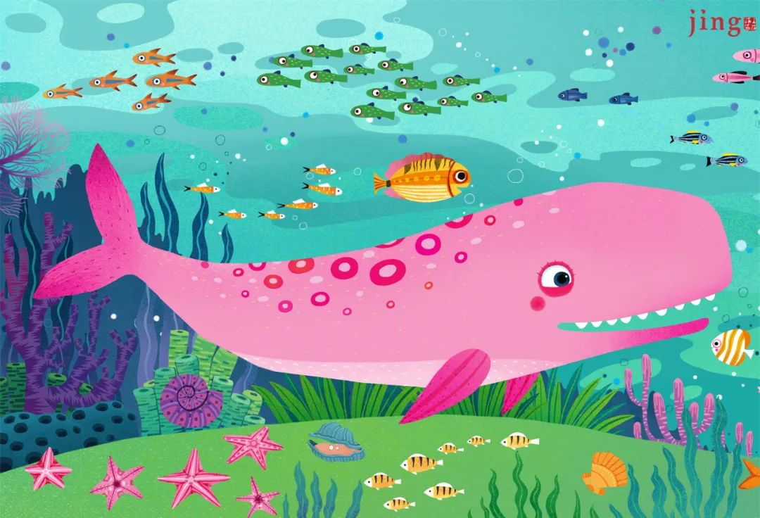 海洋动物海洋鱼类拼图插画,多样生物共绘海底世界