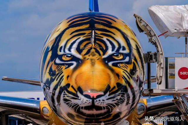 飞机涂装的看起来像鲨鱼,没有中间的座位,乘坐多了舒适和空间